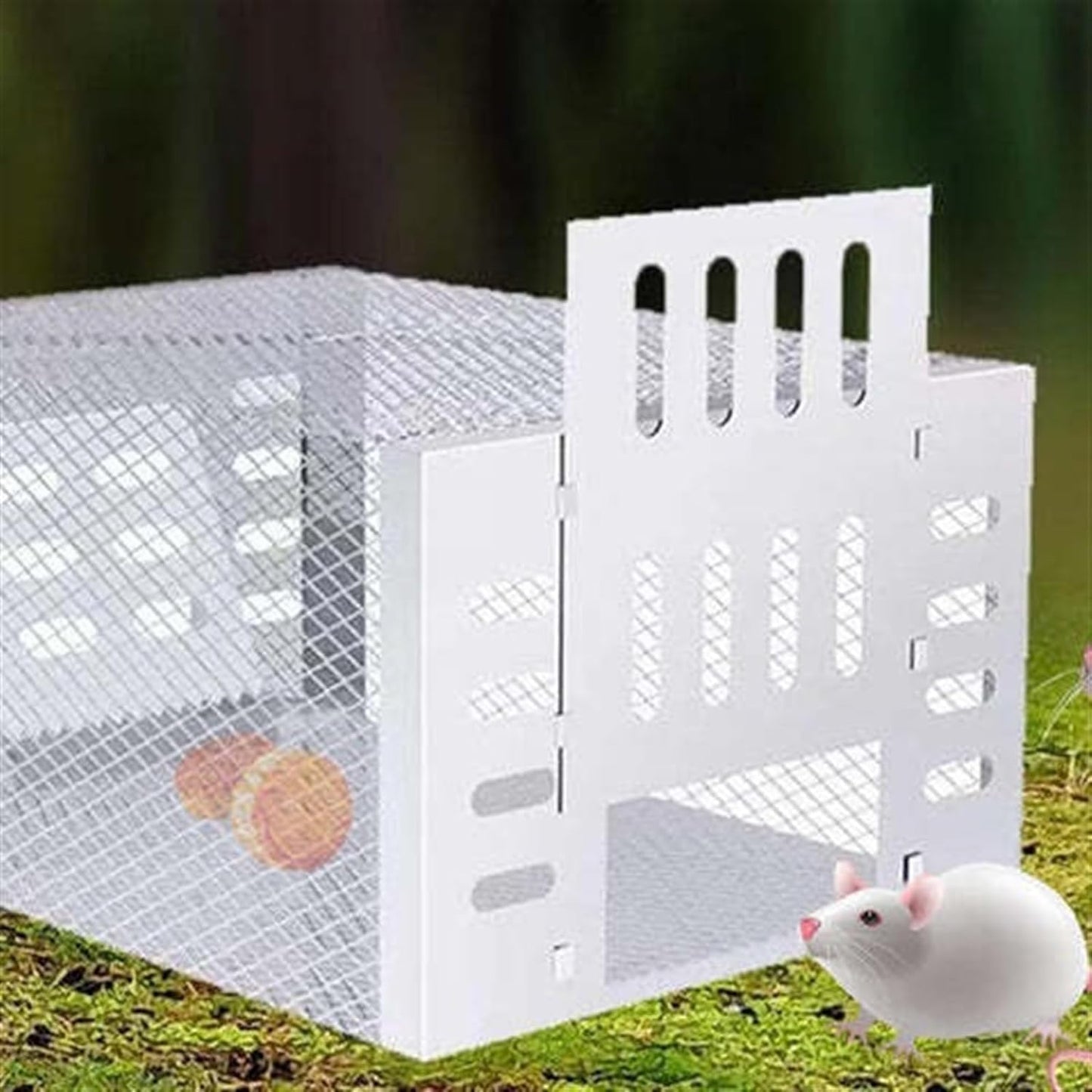 🎁50% OFF⏳🐭Automatic Continuous Cycle Mouse Trap