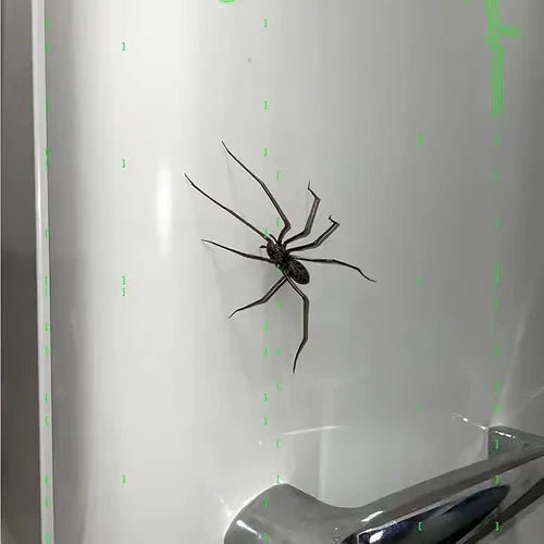Spider Fridge Magnet🎁Realistic Spider Magnets, for Refrigerator, Garage Door, or Car