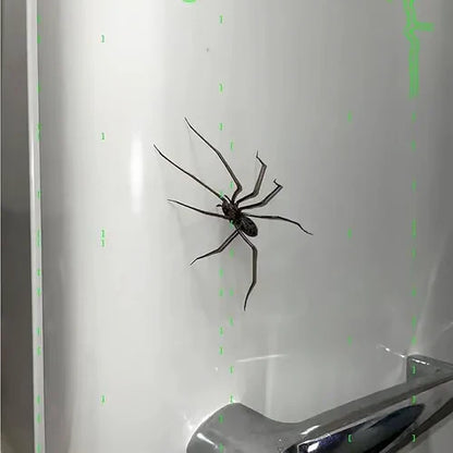 Spider Fridge Magnet🎁Realistic Spider Magnets, for Refrigerator, Garage Door, or Car
