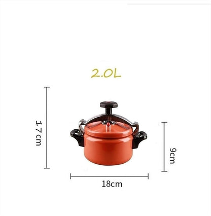 🔥Hot Sale & Free Shipping🔥 Uncoated Explosion-Proof Pressure Mini Cooker