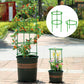 🔥Time-Limited Special✅ Interlocking Support & Easy Setup | Keep Plants Upright Fast 🌱