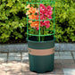 🔥Time-Limited Special✅ Interlocking Support & Easy Setup | Keep Plants Upright Fast 🌱