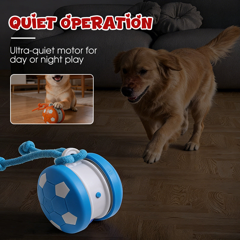 Smart Interactive Pet Toy Ball