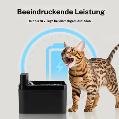 ⏰ 50% OFF – Limited Stock 🐱💧 Smart Motion-Sensing Cat Water Fountain – Fresh Flowing Water, Only When Your Cat Approaches! | Encourages Drinking, Prevents UTIs 🩺💚