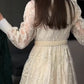 🎁New arrival 60% OFF💥Vintage Embroidered Lantern Sleeve Dress