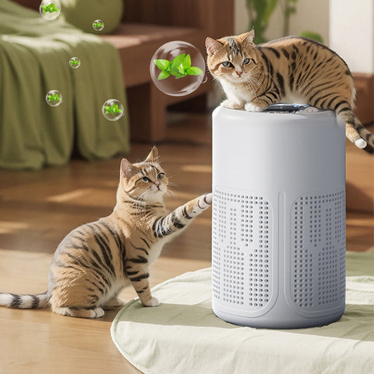 🔥2026 New Upgrade ＆ Hot Sale🔥Silent Air Purifier – Peaceful sleep, no noise 🔇😴