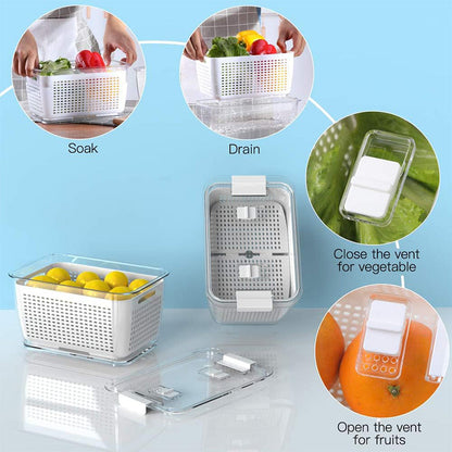 🔥50%  OFF Sale🔥Fresh Produce Vegetable Fruit Storage Container