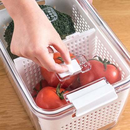 🔥50%  OFF Sale🔥Fresh Produce Vegetable Fruit Storage Container