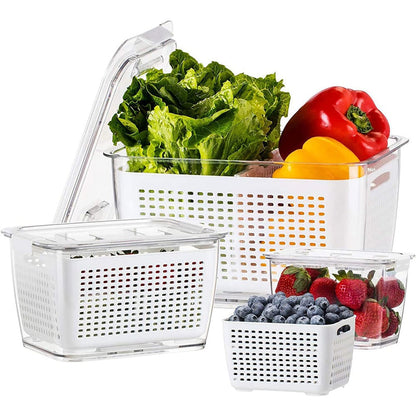 🔥50%  OFF Sale🔥Fresh Produce Vegetable Fruit Storage Container