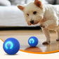 🎉 50% Off + Free Shipping! Interactive Bouncy Ball Designed with Dogs in Mind 🐾