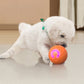 🎉 50% Off + Free Shipping! Interactive Bouncy Ball Designed with Dogs in Mind 🐾