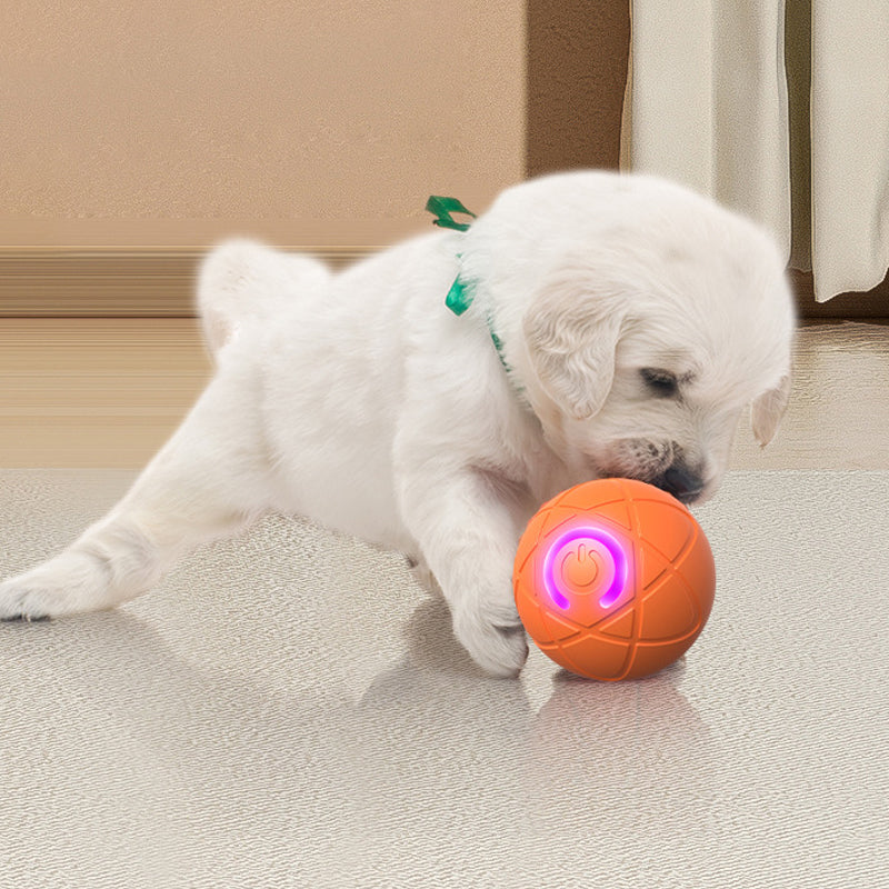 🎉 50% Off + Free Shipping! Interactive Bouncy Ball Designed with Dogs in Mind 🐾