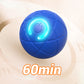 🎉 50% Off + Free Shipping! Interactive Bouncy Ball Designed with Dogs in Mind 🐾