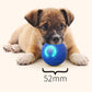 🎉 50% Off + Free Shipping! Interactive Bouncy Ball Designed with Dogs in Mind 🐾