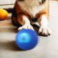🎉 50% Off + Free Shipping! Interactive Bouncy Ball Designed with Dogs in Mind 🐾