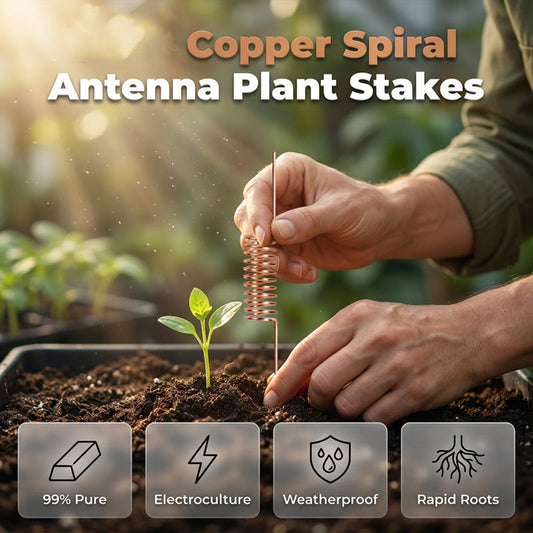 🔥 50% OFF-Copper Spiral Antenna Plant Stakes🌻🌻