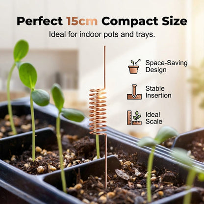 🔥 50% OFF-Copper Spiral Antenna Plant Stakes🌻🌻