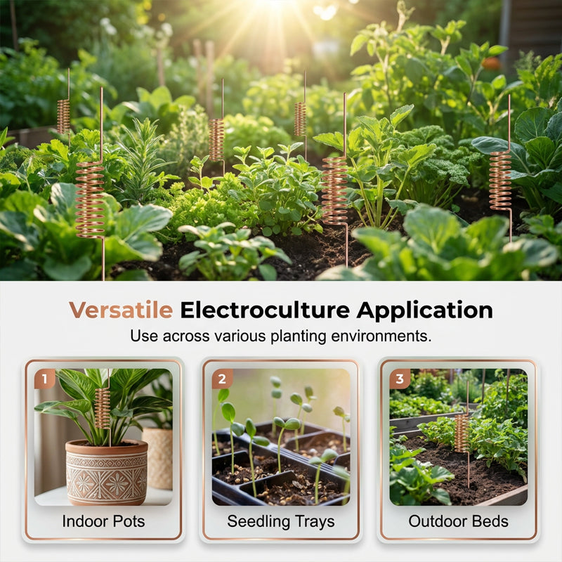 🔥 50% OFF-Copper Spiral Antenna Plant Stakes🌻🌻