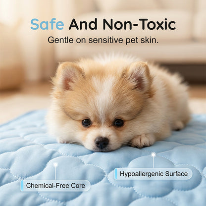 ❄️ Instant Cooling Pet Mat for Dogs & Cats | Self-Cooling, Scratch-Resistant & Non-Toxic 🐾 Easy Wipe Clean 💧 Deep Restful Sleep ✨
