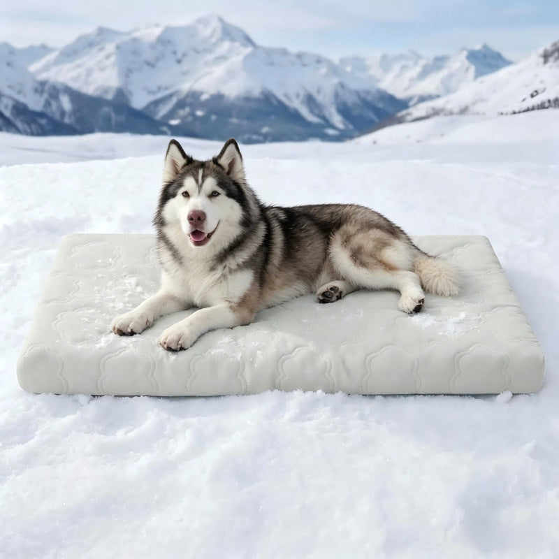 ❄️ Instant Cooling Pet Mat for Dogs & Cats | Self-Cooling, Scratch-Resistant & Non-Toxic 🐾 Easy Wipe Clean 💧 Deep Restful Sleep ✨