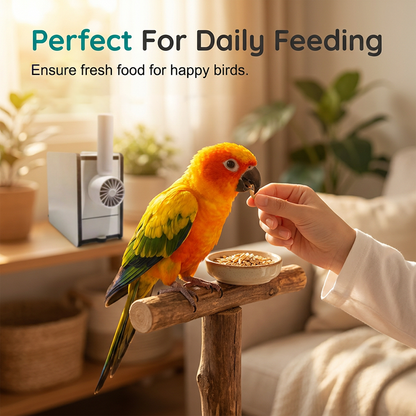 🌻 Bird Seed Shell Separator — Turn Waste Husks into Pure Bird Food
