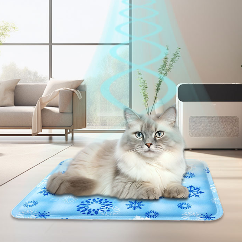 💚🎁🦴 LIMITED-TIME 50% OFF! Premium Scratch-Resistant Cooling Mat – Prevents Overheating, Soothes Joints, Non-Slip Base – A Thoughtful Summer Gift for Your Furry Friend 🌟🐩