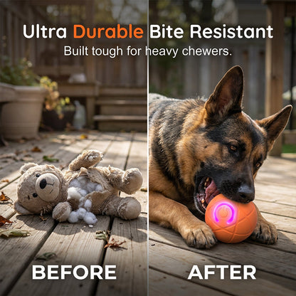 ⏰🔥Buy 1 Get 1 free!🐾 AUTO-BOUNCING SMART PET BALL WITH REMOTE CONTROL— 3 Interactive Modes | Chew-Resistant E-TPU | USB-C Rechargeable 🎾
