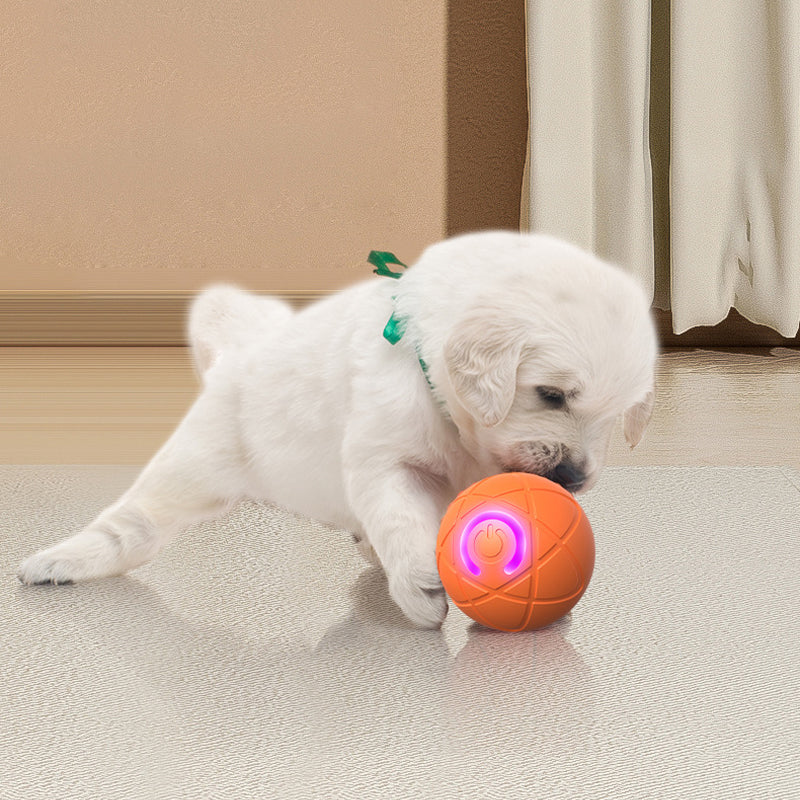 ⏰🔥Buy 1 Get 1 free!🐾 AUTO-BOUNCING SMART PET BALL WITH REMOTE CONTROL— 3 Interactive Modes | Chew-Resistant E-TPU | USB-C Rechargeable 🎾