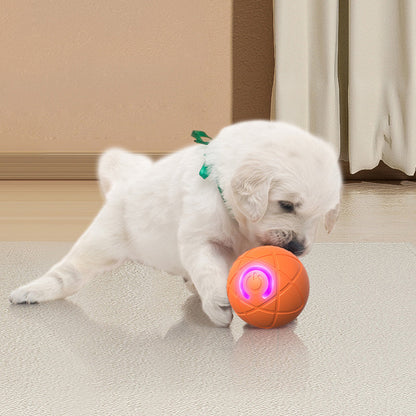 ⏰🔥Buy 1 Get 1 free!🐾 AUTO-BOUNCING SMART PET BALL WITH REMOTE CONTROL— 3 Interactive Modes | Chew-Resistant E-TPU | USB-C Rechargeable 🎾