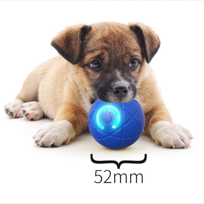 ⏰🔥Buy 1 Get 1 free!🐾 AUTO-BOUNCING SMART PET BALL WITH REMOTE CONTROL— 3 Interactive Modes | Chew-Resistant E-TPU | USB-C Rechargeable 🎾