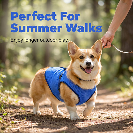 ⏰💰 50% OFF – Cooling Dog Vest – Beat the Summer Heat! | Instant Cool Relief for Your Pup | Perfect for Walks & Outdoor Play 🐶❄️☀️