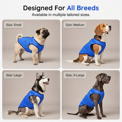 ⏰💰 50% OFF – Cooling Dog Vest – Beat the Summer Heat! | Instant Cool Relief for Your Pup | Perfect for Walks & Outdoor Play 🐶❄️☀️