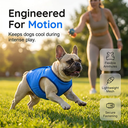 ⏰💰 50% OFF – Cooling Dog Vest – Beat the Summer Heat! | Instant Cool Relief for Your Pup | Perfect for Walks & Outdoor Play 🐶❄️☀️