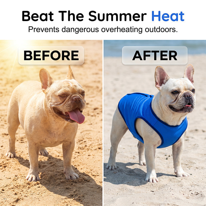⏰💰 50% OFF – Cooling Dog Vest – Beat the Summer Heat! | Instant Cool Relief for Your Pup | Perfect for Walks & Outdoor Play 🐶❄️☀️