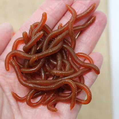 ⏰Limited-Time 50% Off ✨Bionic Earthworm Soft Lures｜Highly Realistic Dynamic Bait, Tear-Resistant Soft Lures For Freshwater & Sea Fishing 🎣